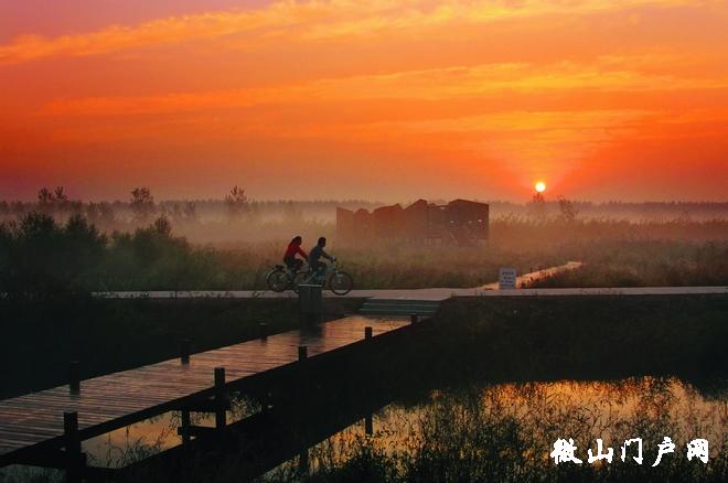 濕地晨曦--沈晨（攝影）.jpg
