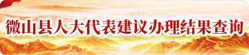 微山縣人大代表建議辦理結(jié)果