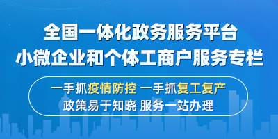 全國(guó)一體化政務(wù)服務(wù)平臺(tái)